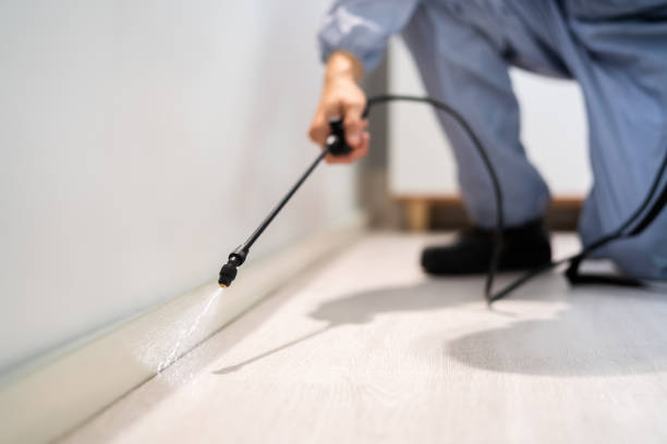 Licensed Termite Control service in Central High, OK - Nex Pest Control