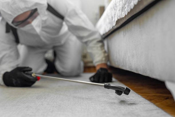 Professional Termite Control technician working in Central High, OK