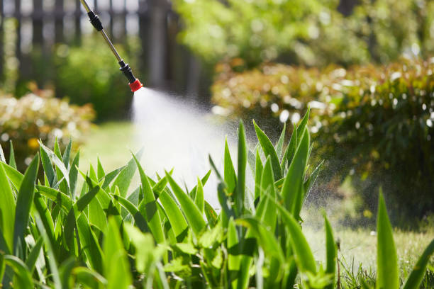 24/7 Emergency Termite Control experts in Central High, OK
