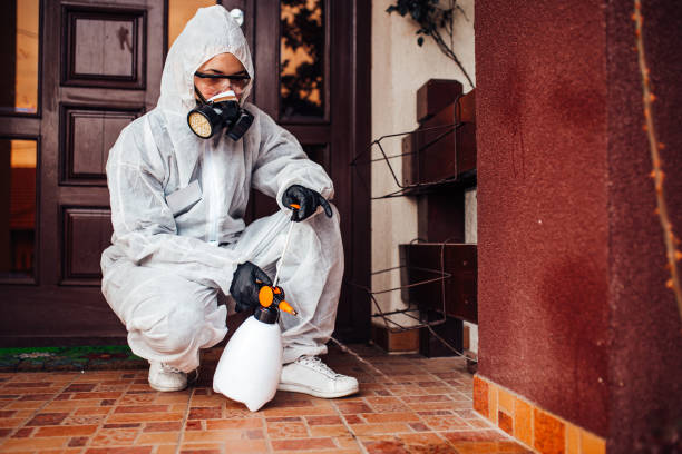 Reliable Termite Control contractor in Central High, OK by Nex Pest Control