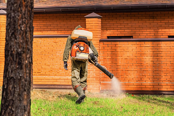 Top rated local Termite Control specialists in Central High, OK